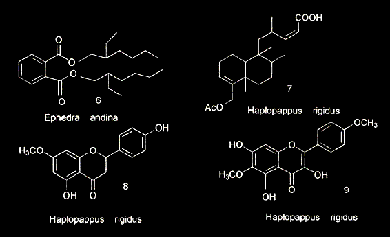 Five year research into producing secondary metabolites in plants